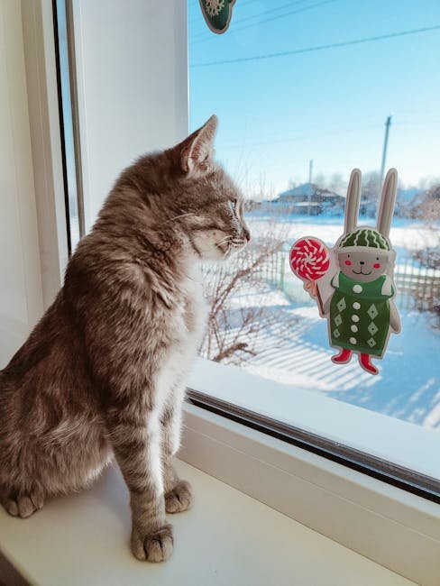 Custom Pet Face Stickers (12 Pack)