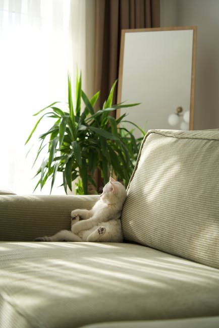 Dog Lover Decorative Throw Pillow